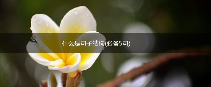 什么是句子结构(必备5句),第1张
