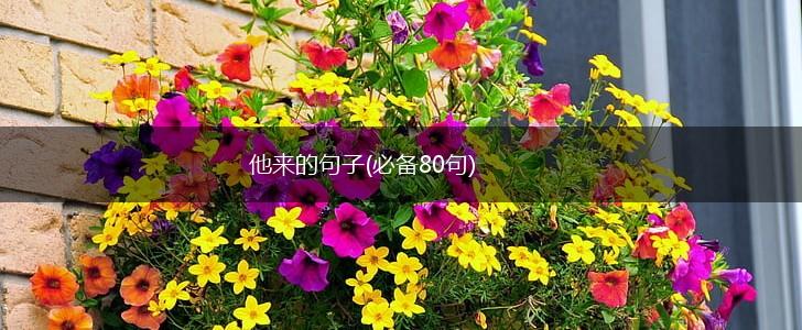 他来的句子(必备80句),第1张