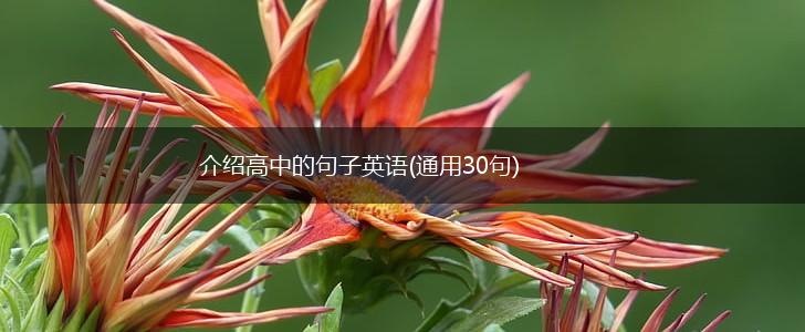 介绍高中的句子英语(通用30句),第1张
