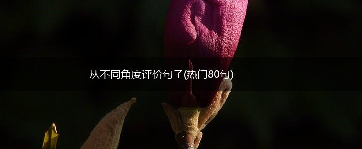 从不同角度评价句子(热门80句),第1张