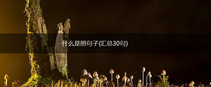 什么是照句子(汇总30句),第1张