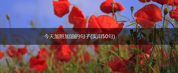 今天加班加油的句子(实用50句),第1张