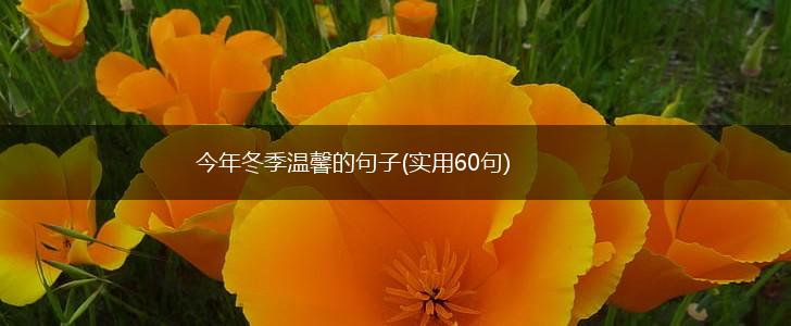 今年冬季温馨的句子(实用60句),第1张