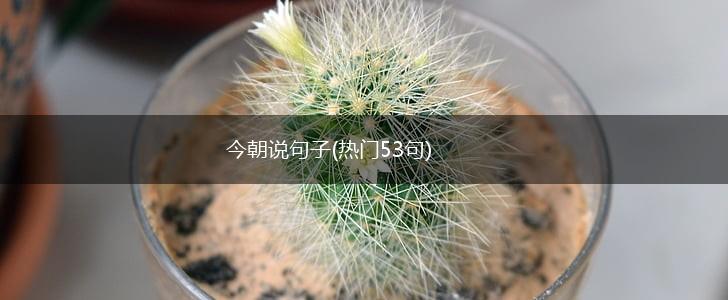 今朝说句子(热门53句),第1张