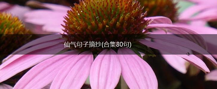 仙气句子摘抄(合集80句),第1张