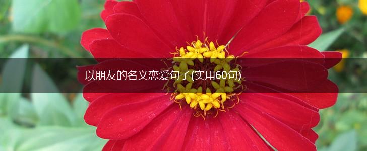 以朋友的名义恋爱句子(实用60句),第1张