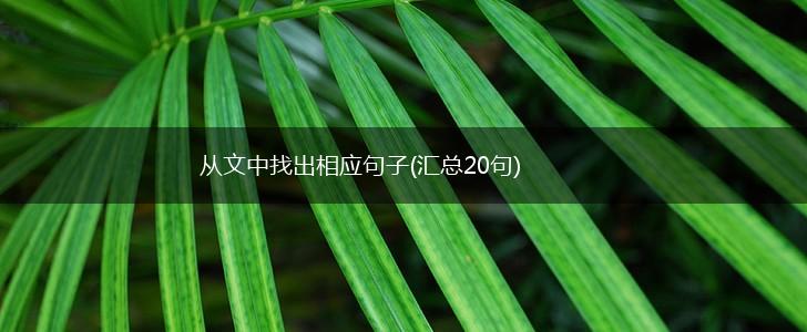 从文中找出相应句子(汇总20句),第1张