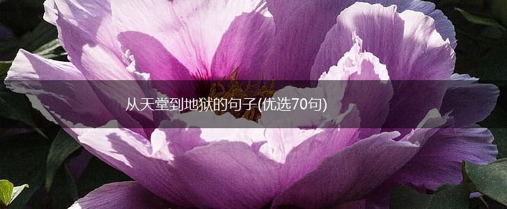 从天堂到地狱的句子(优选70句),第1张