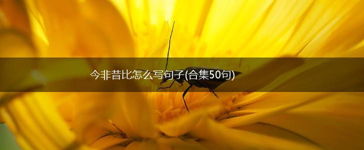 今非昔比怎么写句子(合集50句),第1张