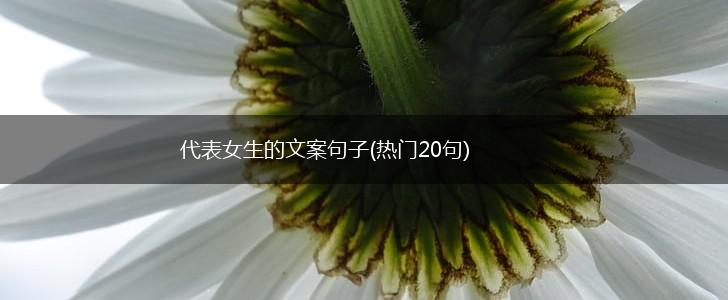 代表女生的文案句子(热门20句),第1张