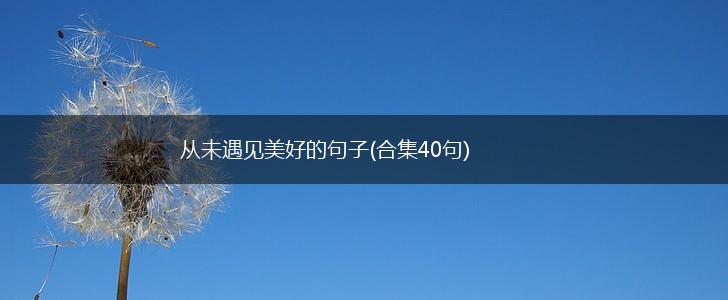 从未遇见美好的句子(合集40句),第1张