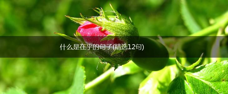 什么是在乎的句子(精选12句),第1张