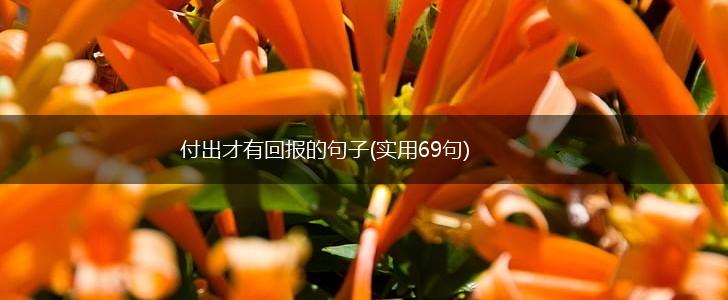 付出才有回报的句子(实用69句),第1张