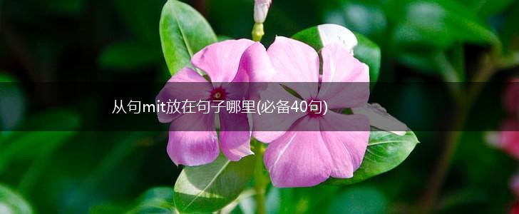 从句mit放在句子哪里(必备40句),第1张