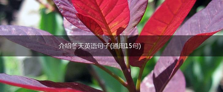 介绍冬天英语句子(通用15句),第1张