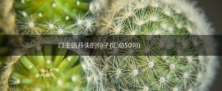 以主语开头的句子(汇总50句),第1张