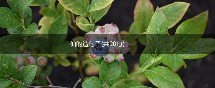仙的造句子(共20句),第1张