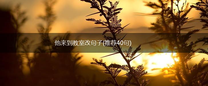 他来到教室改句子(推荐40句),第1张