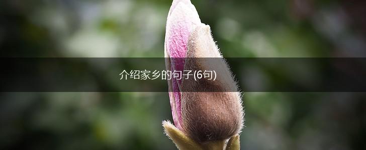 介绍家乡的句子(6句),第1张