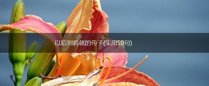 以后别将就的句子(实用50句),第1张