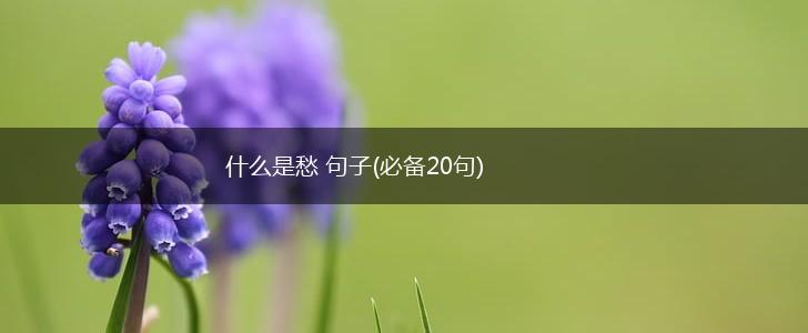 什么是愁 句子(必备20句),第1张