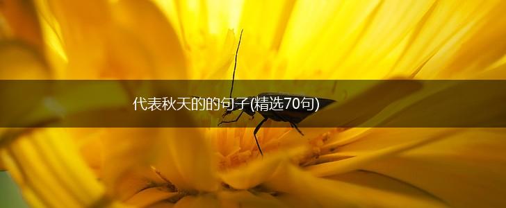 代表秋天的的句子(精选70句),第1张