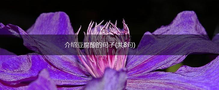 介绍豆腐酿的句子(共8句),第1张