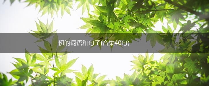 仞的词语和句子(合集40句),第1张