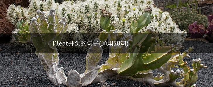 以eat开头的句子(通用50句),第1张