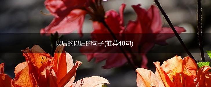 以后的以后的句子(推荐40句),第1张