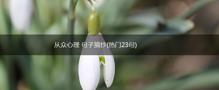 从众心理 句子摘抄(热门23句),第1张