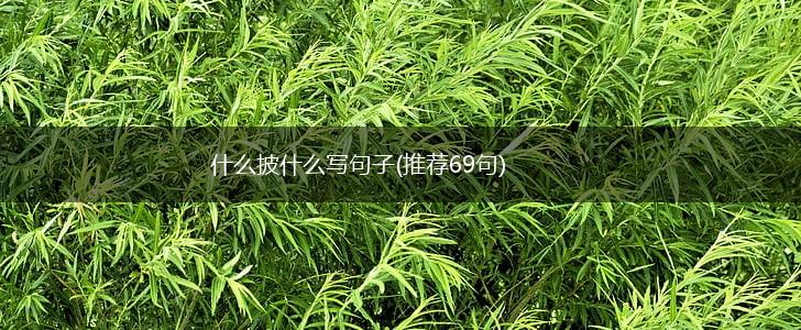 什么披什么写句子(推荐69句),第1张