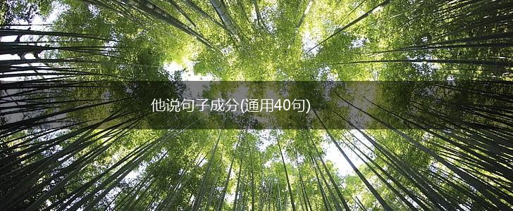 他说句子成分(通用40句),第1张