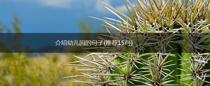 介绍幼儿园的句子(推荐15句),第1张