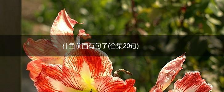 什鱼前面有句子(合集20句),第1张