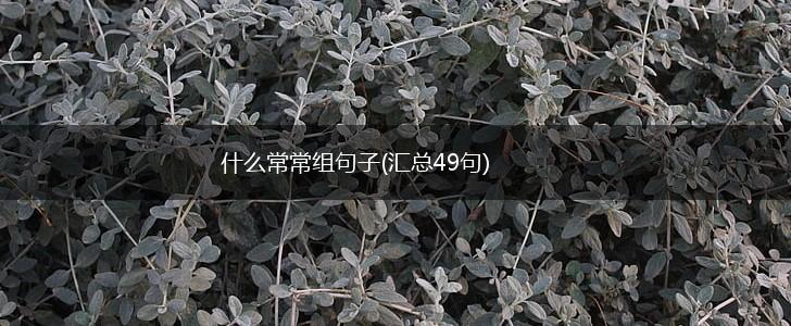 什么常常组句子(汇总49句),第1张 什么常常组句子(汇总49句),第1张