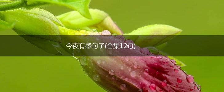 今夜有感句子(合集12句),第1张