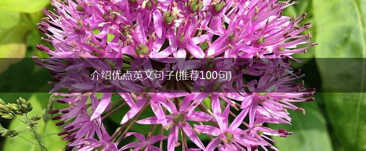 介绍优点英文句子(推荐100句),第1张