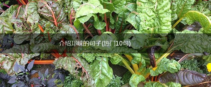 介绍邛崃的句子(热门10句),第1张