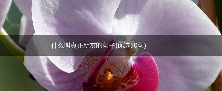 什么叫真正朋友的句子(优选50句),第1张 什么叫真正朋友的句子(优选50句),第1张