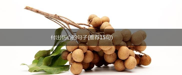 付出伤心的句子(推荐15句),第1张