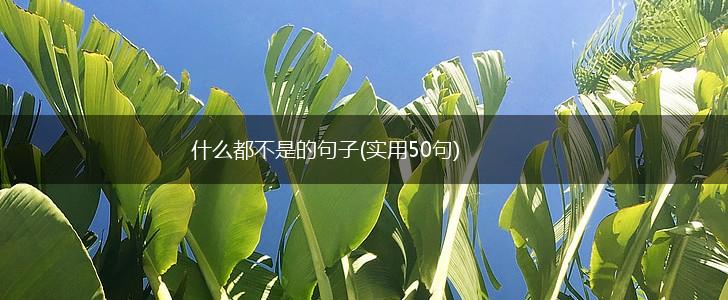 什么都不是的句子(实用50句),第1张