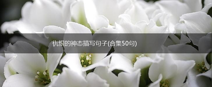 仇恨的神态描写句子(合集50句),第1张