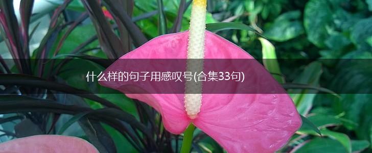 什么样的句子用感叹号(合集33句),第1张