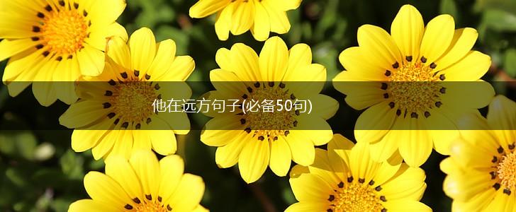 他在远方句子(必备50句),第1张