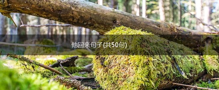 他回来句子(共50句),第1张