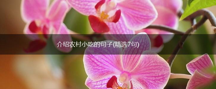 介绍农村小吃的句子(精选7句),第1张 介绍农村小吃的句子(精选7句),第1张