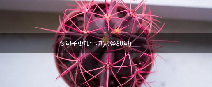 令句子更加生动(必备80句),第1张