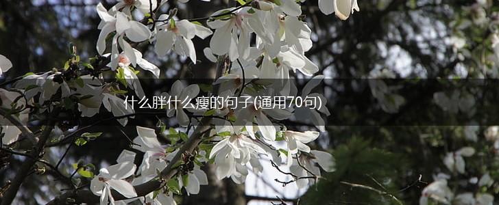 什么胖什么瘦的句子(通用70句),第1张