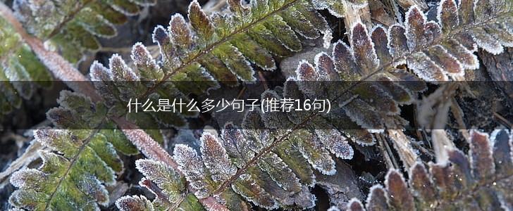 什么是什么多少句子(推荐16句),第1张